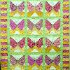 Butterfly Baby's